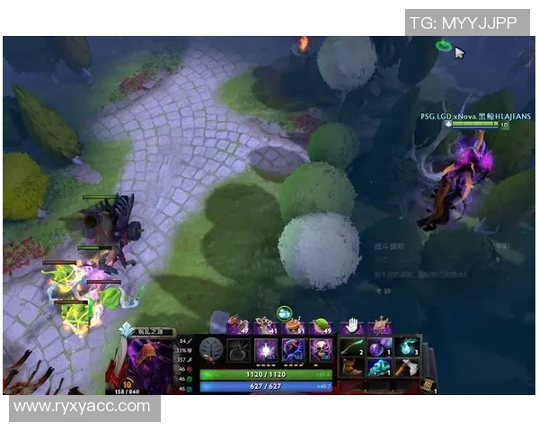 王秀英独家揭秘DOTA2游戏技巧与心得分享助你提升战斗实力